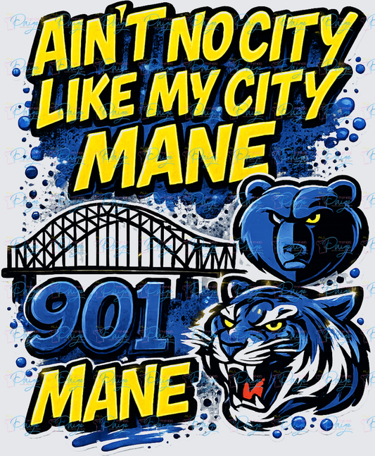 Aint No City