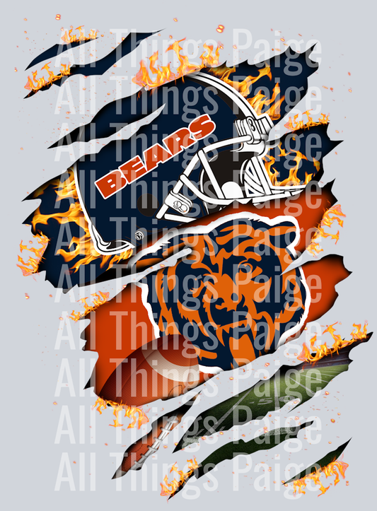 Bears